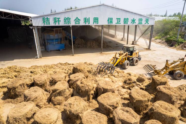 秸秆发酵基质技术视频-图2