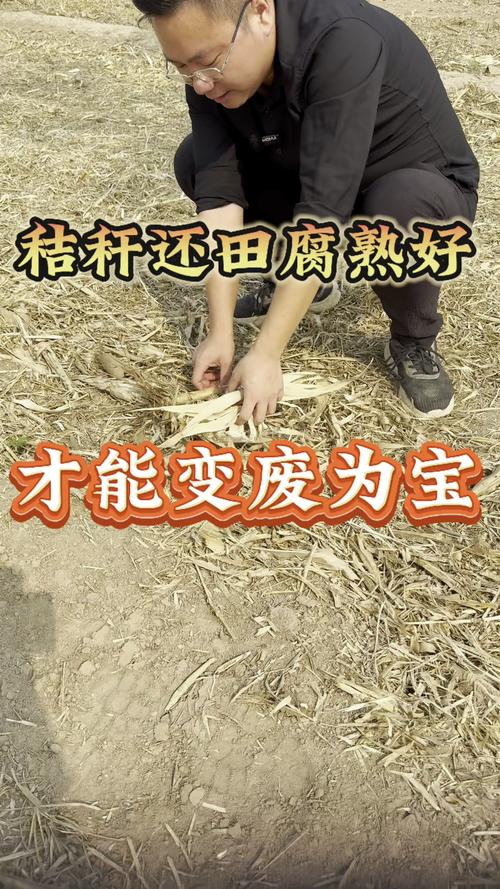 秸秆发酵基质技术视频-图3