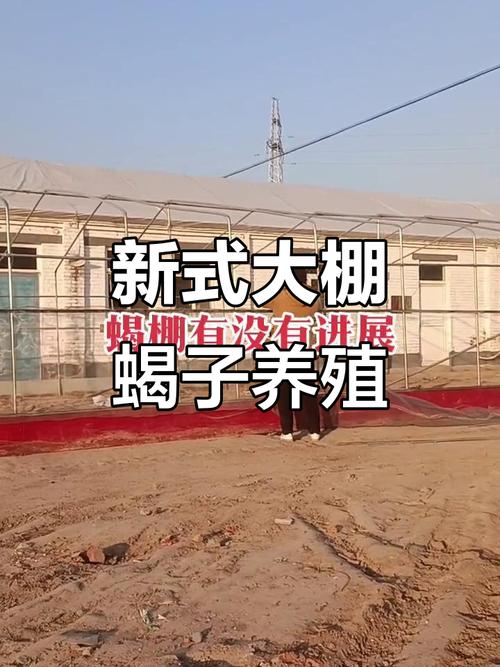 央视蝎子养殖技术视频，新手能学会吗？-图2