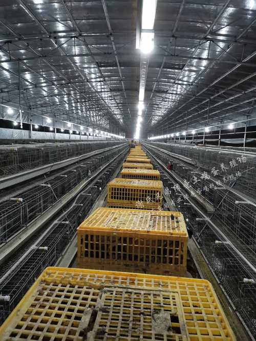 北方养殖市场哪些品种更具潜力？-图2