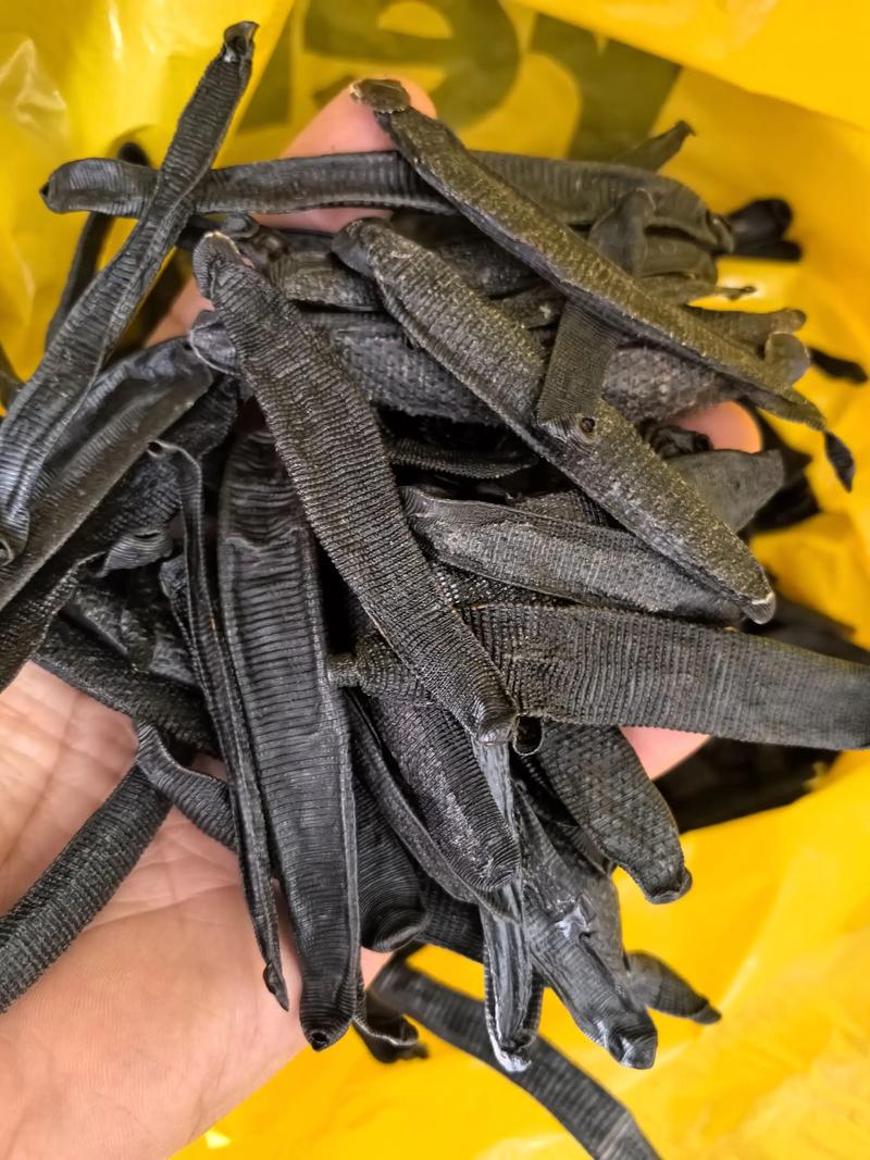 蚂蝗2025年的价格-图1