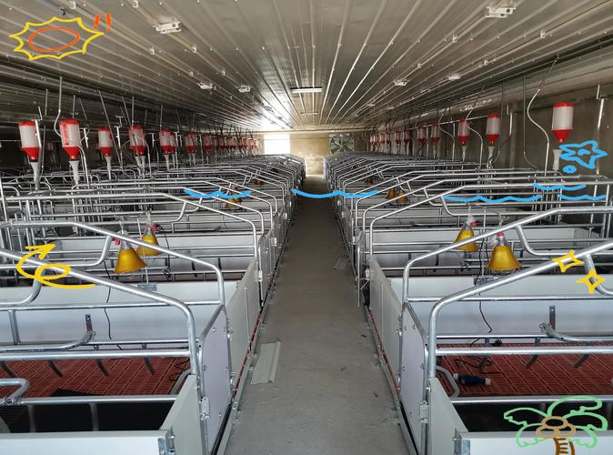 夏季家畜饲养如何科学管理？-图3