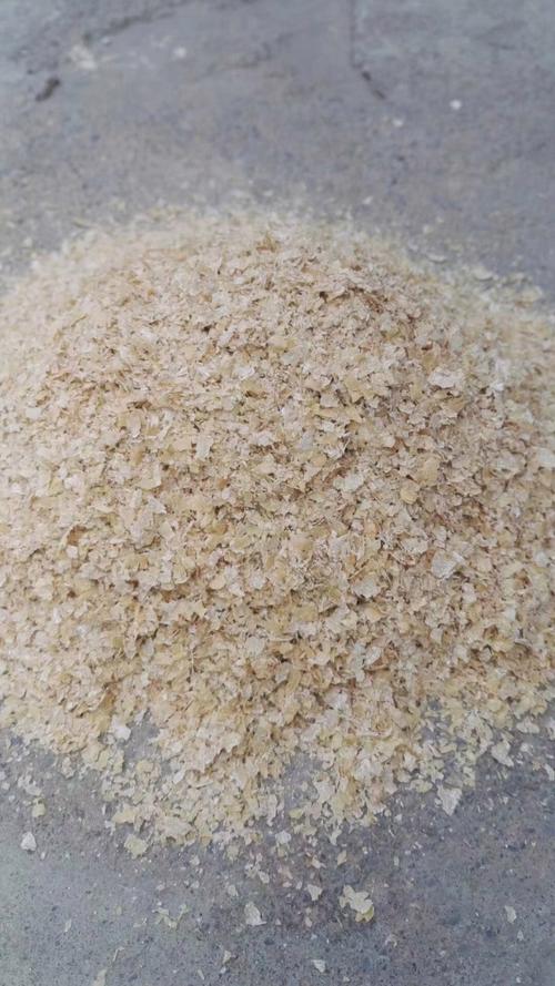 今天麸皮价格多少钱？-图1