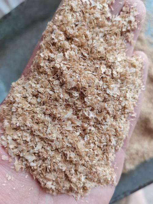 今天麸皮价格多少钱？-图3