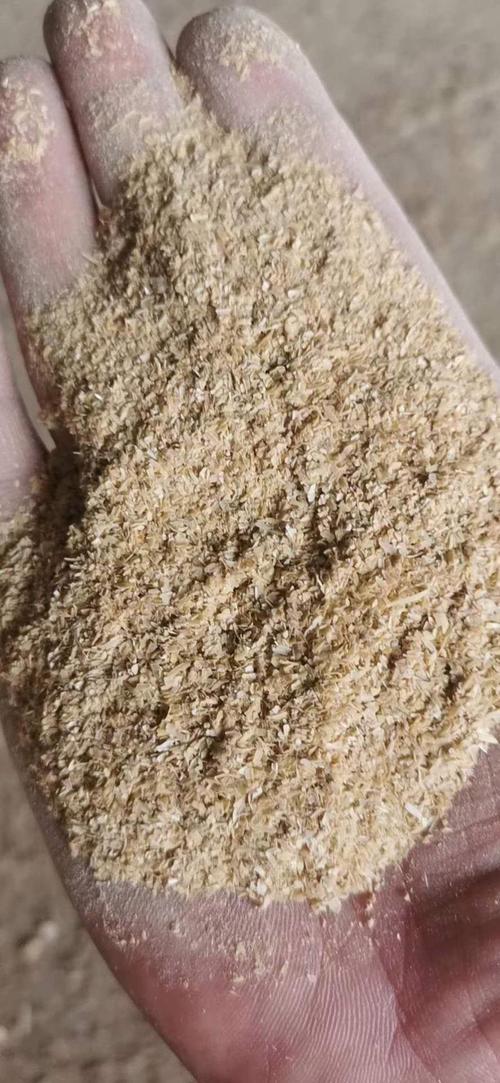 今天麸皮价格多少钱？-图2