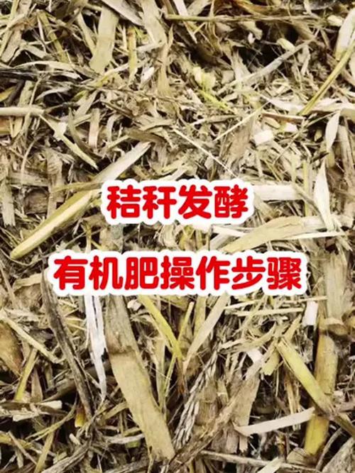 稻草发酵技术视频直播，如何快速掌握关键要点？-图1
