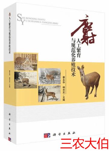 养殖麝香技术有哪些关键要点？-图2