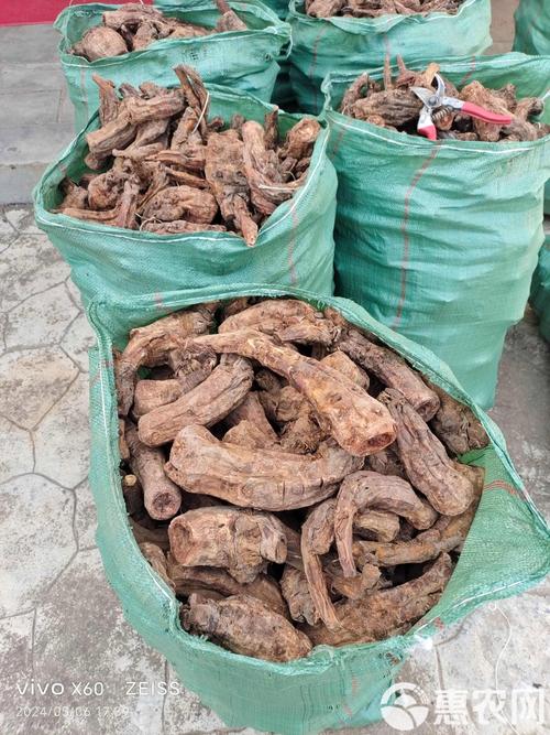 那里大黄收购价多少？-图3