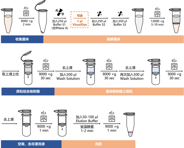 品种提纯有哪些常用方法？-图1