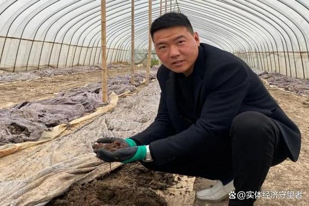 黑色地龙养殖技术视频，如何高效养殖？-图1