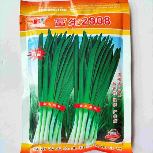 韭菜休眠与浅休眠品种有何差异？-图3