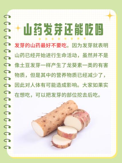 山药长芽后能直接种植吗？-图2