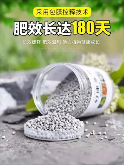 兰花肥的品种图片大全-图2