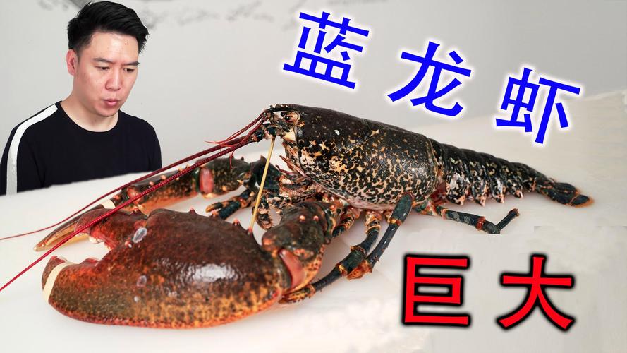 法国蓝龙虾 中国价格-图3