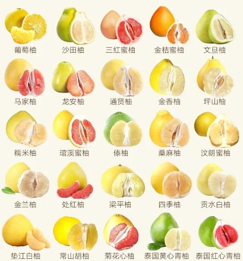 特早熟柚子品种有哪些？-图2