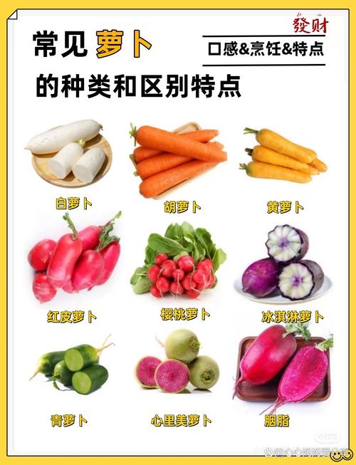 萝卜品种图片有哪些？-图1