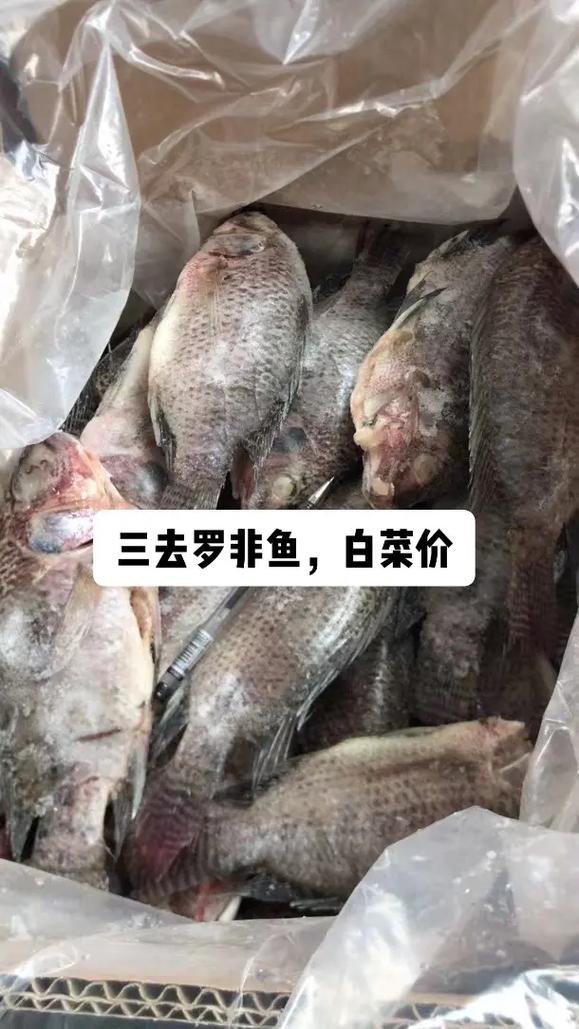 冷冻罗非鱼皮价格将如何变动？-图3