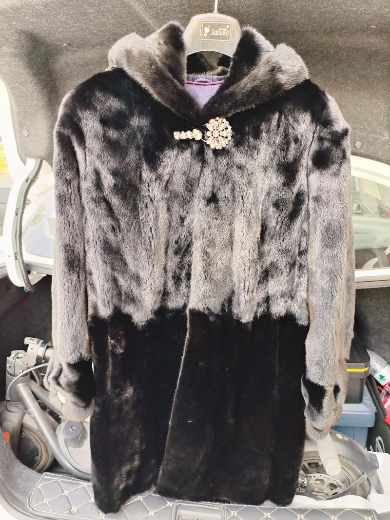 山东貂皮价格现在多少钱一斤？-图3