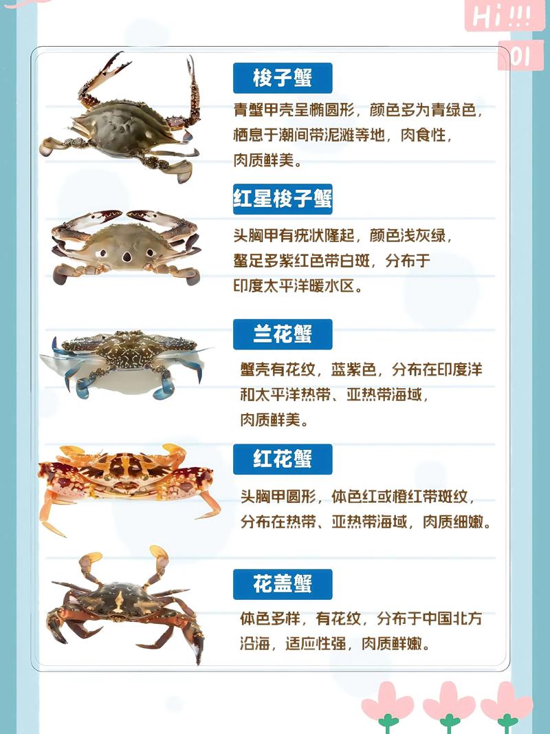 即食小螃蟹是哪种蟹？-图1