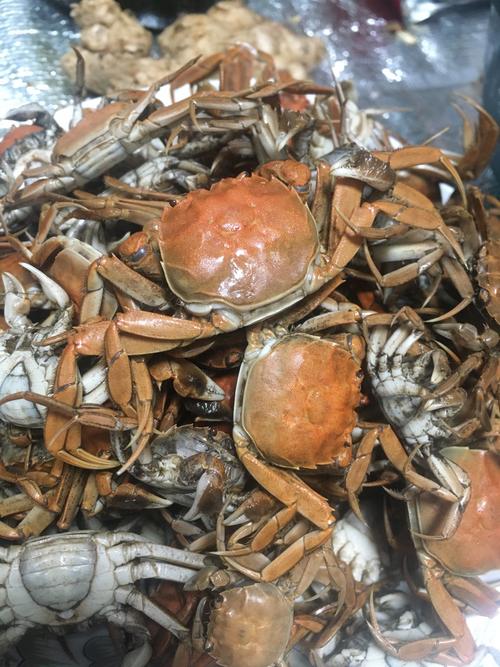 即食小螃蟹是哪种蟹？-图2
