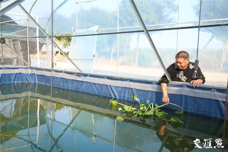 大棚水蛭立体养殖技术如何高效实施？-图2
