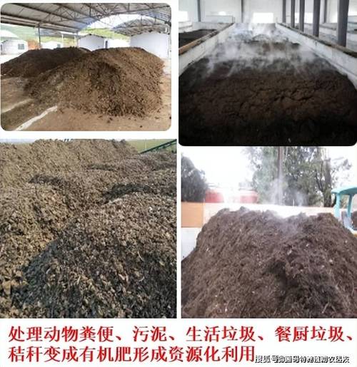 秸秆发酵养牛技术视频怎么学？-图2