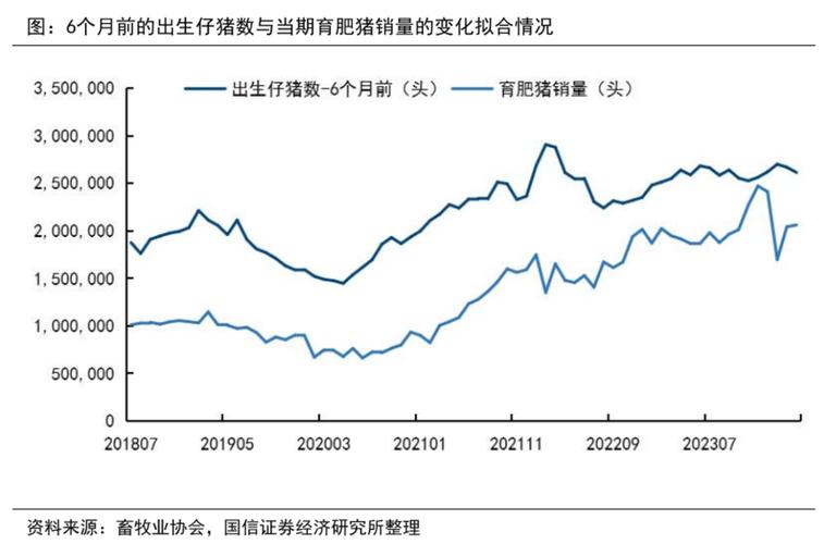 2025肉驴价格会涨还是会跌？-图1