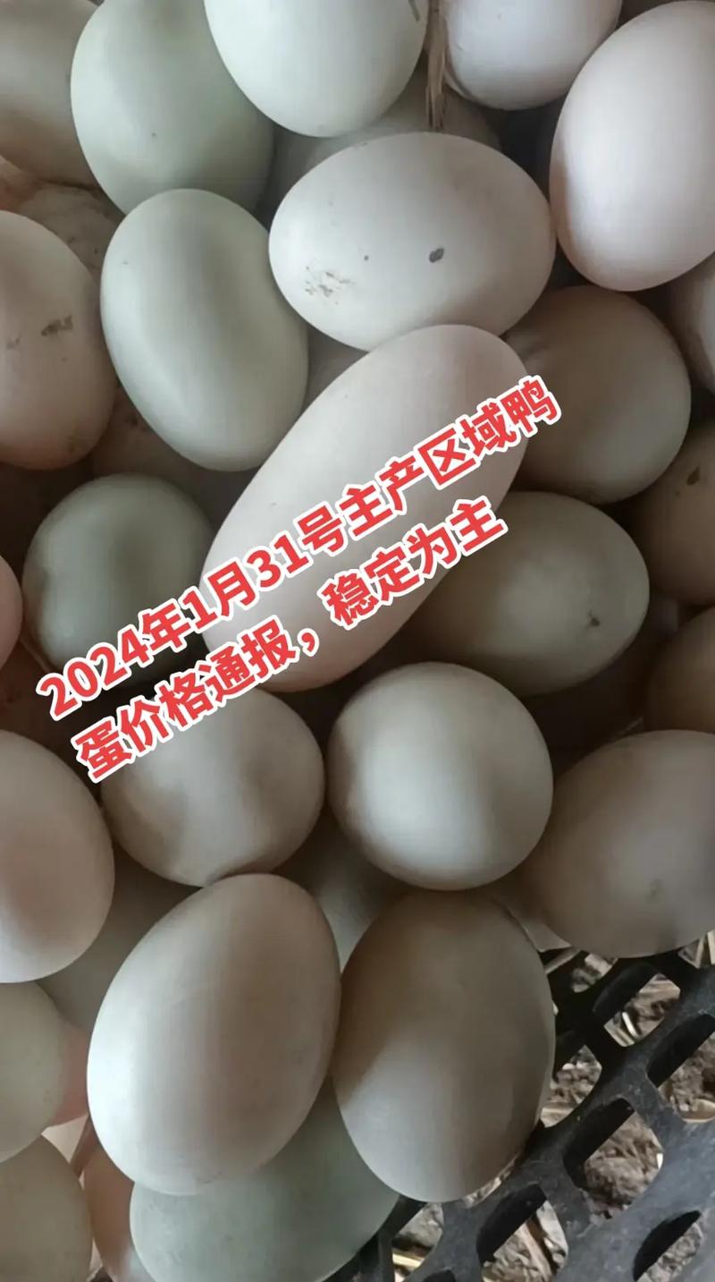 今年兴化鸭蛋价格怎么样？-图1