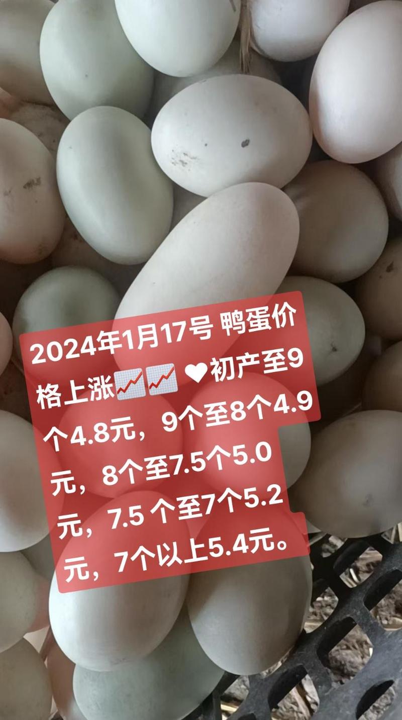 今年兴化鸭蛋价格怎么样？-图2