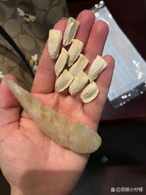 哪种柚子籽个头最大？-图1