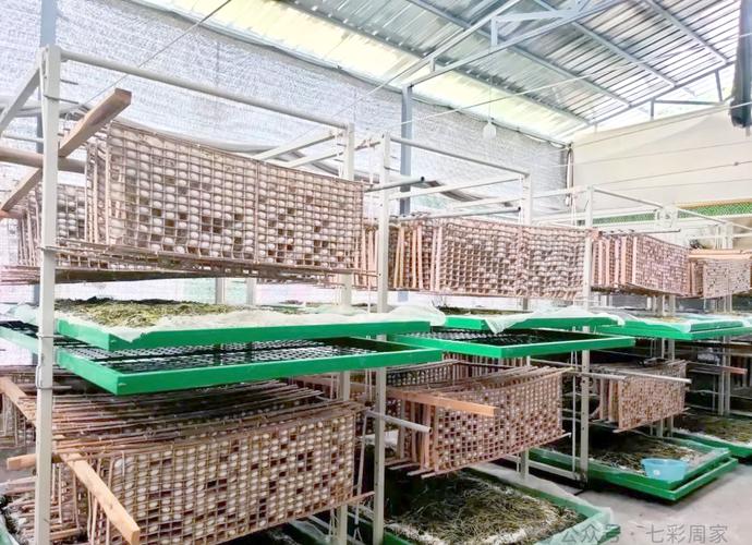 哪里有养蚕技术?-图1 哪里有养蚕技术?-图1