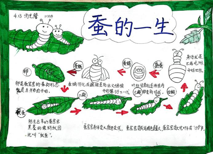 哪里有养蚕技术?-图3 哪里有养蚕技术?-图3