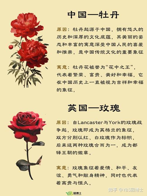中国花品种有多少？常见花种图片有哪些？-图2