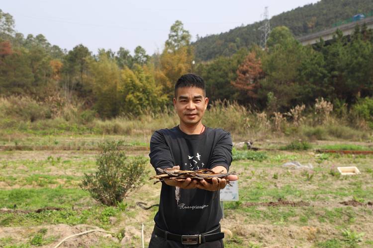 地龙人工养殖技术视频怎么学？-图1