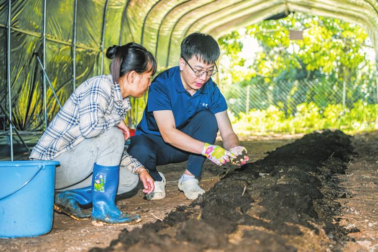 地龙人工养殖技术视频怎么学？-图2