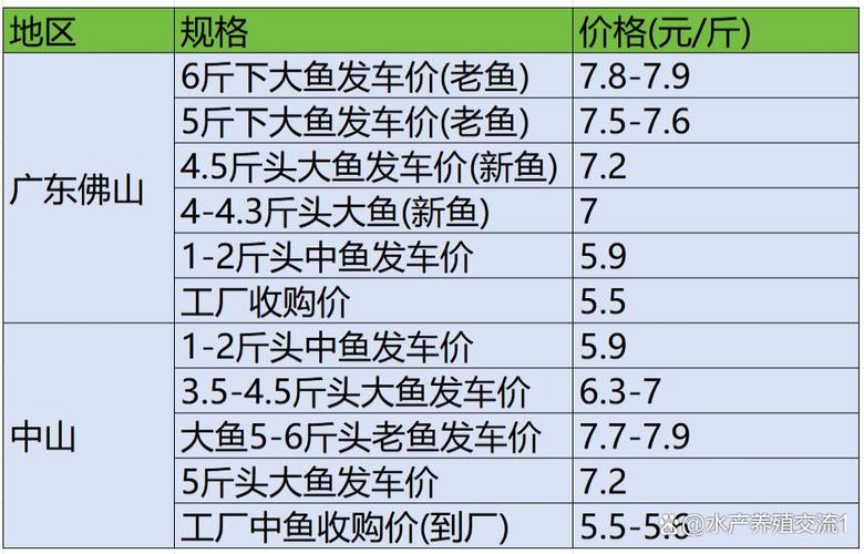 2025年鮰鱼价格如何?-图1 2025年鮰鱼价格如何?-图1