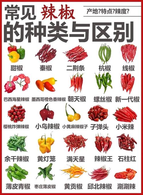 辣椒品种有多少?带图看全吗?-图1 辣椒品种有多少?带图看全吗?-图1