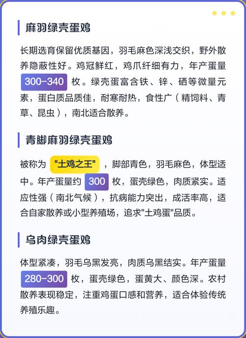 绿壳蛋鸡那个品种最好-图2