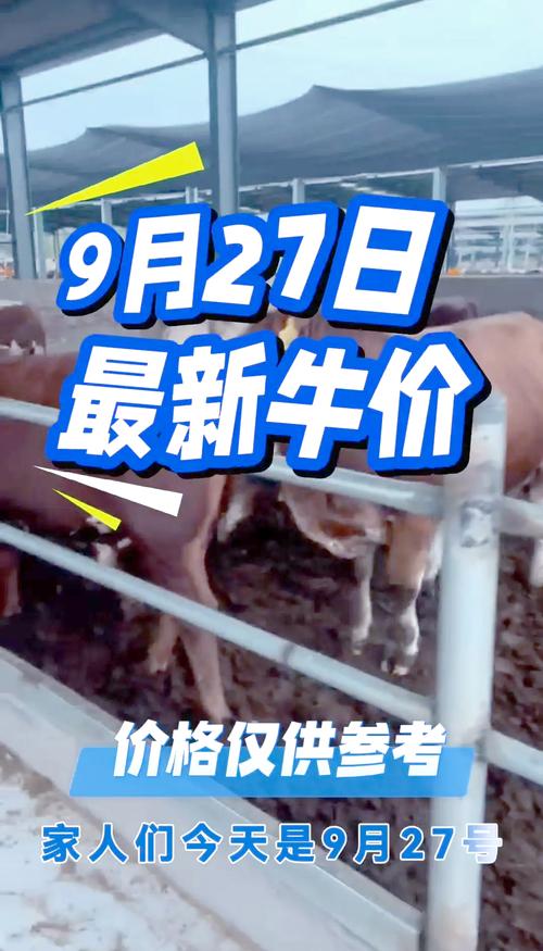 今日全国牛价如何?-图2 今日全国牛价如何?-图2