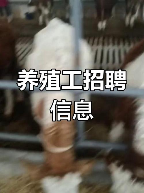 水产养殖技术总裁岗,有何核心能力要求?-图2 水产养殖技术总裁岗,有何核心能力要求?-图2