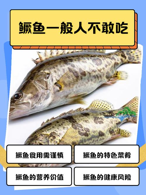 2025年鳜鱼价格会涨还是跌?-图3 2025年鳜鱼价格会涨还是跌?-图3