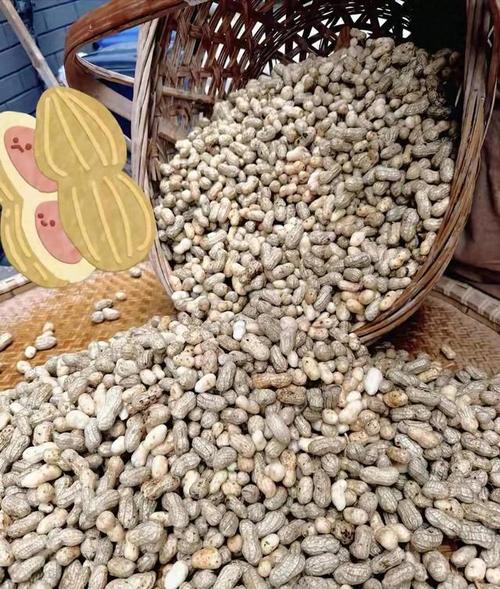 2025年花生角价格会涨还是跌?-图1 2025年花生角价格会涨还是跌?-图1