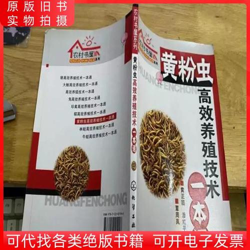 黄粉虫高效养殖技术有哪些关键要点?-图1 黄粉虫高效养殖技术有哪些关键要点?-图1