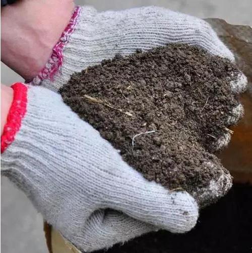 猪粪养殖蚯蚓需要技术-图1 猪粪养殖蚯蚓需要技术-图1