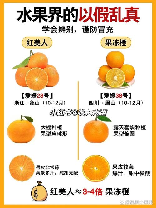 爱媛28柑橘品种有何特点?-图1 爱媛28柑橘品种有何特点?-图1