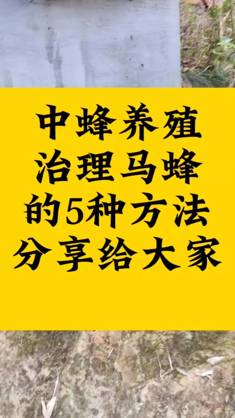 马蜂养殖技术软件哪里下载？-图2