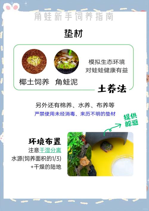 养殖青蛙哪有技术提供-图2