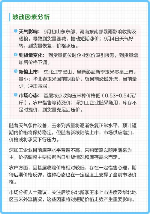 2025新玉米的价格-图2