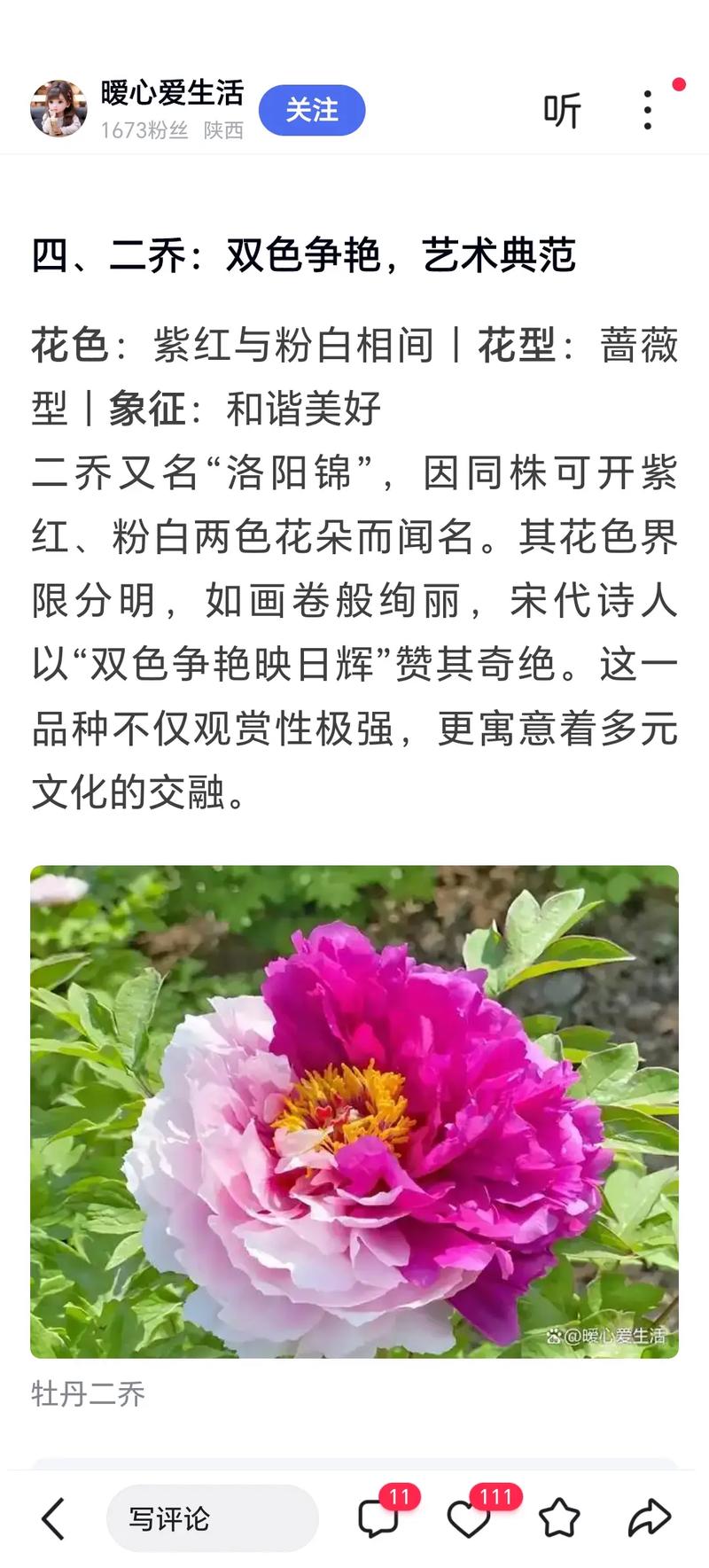 牡丹珍品,哪个品种最稀有?-图1 牡丹珍品,哪个品种最稀有?-图1