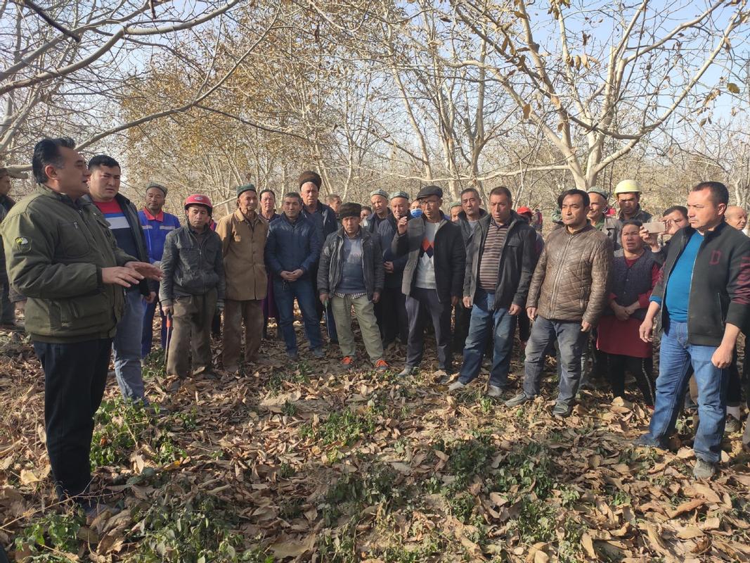 冬天核桃管理视频有哪些关键技术?-图2 冬天核桃管理视频有哪些关键技术?-图2